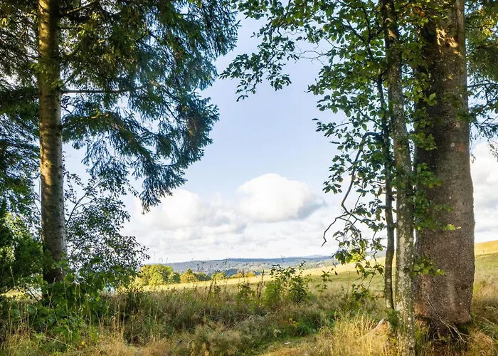 Schneiderhaus Höchenschwand